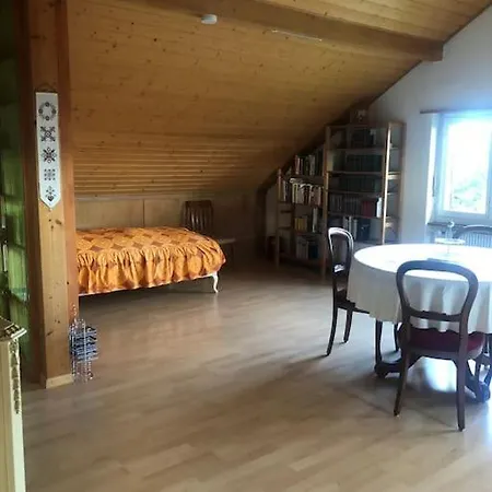 2-room-apartment With Shared Garden Place And View On Nature Reserve Brugg (Bern)