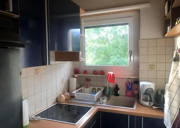 Appartamento 2-room-apartment With Shared Garden Place And View On Nature Reserve Brugg (Bern)