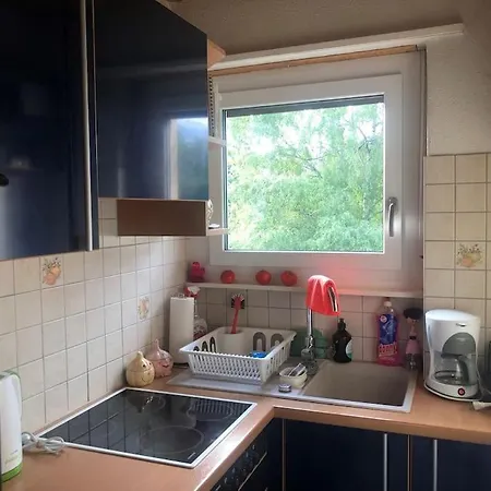 Apartment 2-room-apartment With Shared Garden Place And View On Nature Reserve Brugg (Bern)